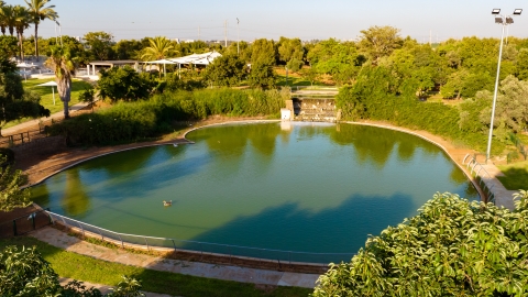 פארק ההדרים- רון אוריאל (1).jpg